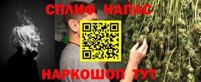 крисы Пыть-Ях