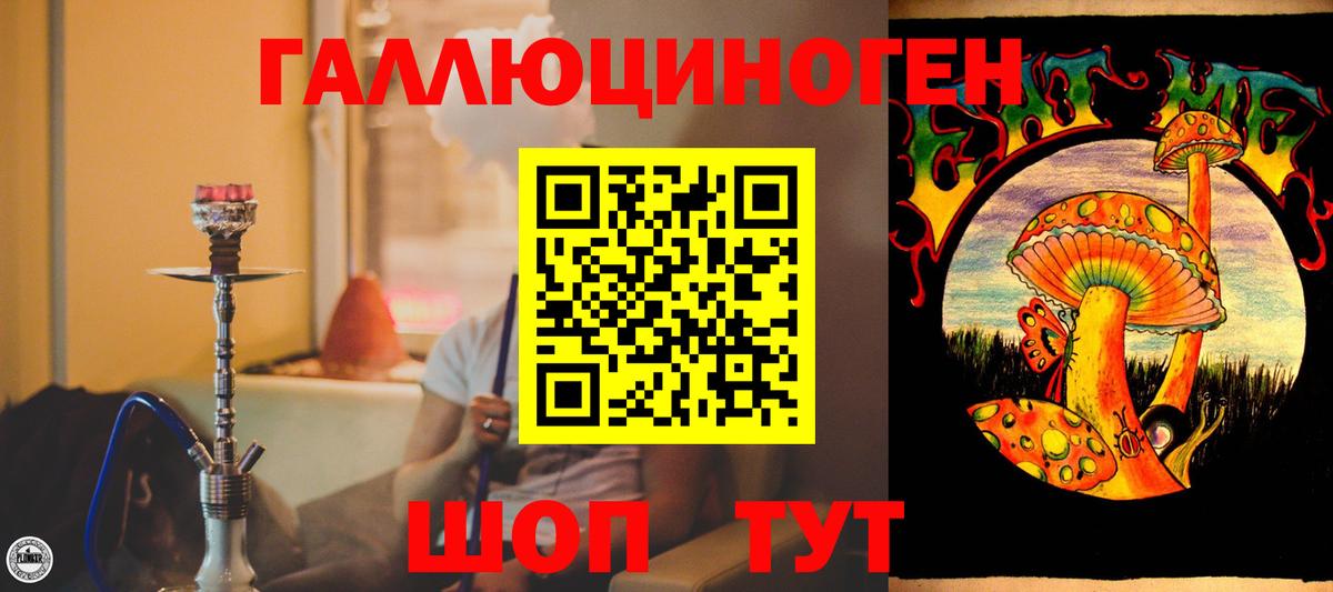 Псилоцибиновые грибы Magic Shrooms Родники
