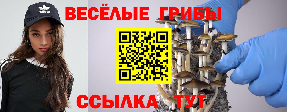 Родники  Псилоцибиновые грибы Psilocybe  Псилоцибиновые грибы ЛСД  Вход с VPN 